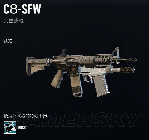 《彩虹六号围攻》全武器枪械原型图鉴_jtf2-c8-sfw-游民星空 gamersky