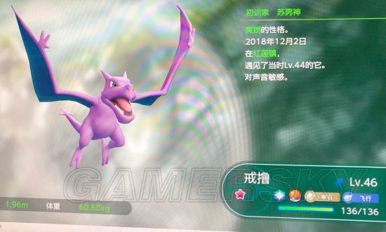 精灵宝可梦皮卡丘伊布新手刷闪光精灵技巧怎么刷闪光