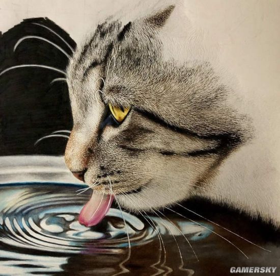 18岁画师绘制猫咪铅笔画 效果超逼真堪比照片