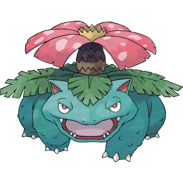 杰尼龟 ゼニガメ squirtle
