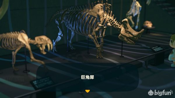 动物森友会化石原型与相关资料介绍