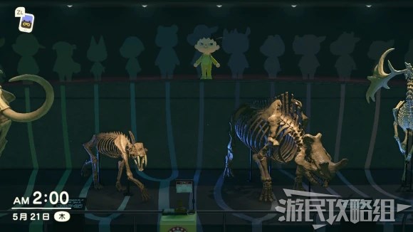 化石展馆地板上的花纹