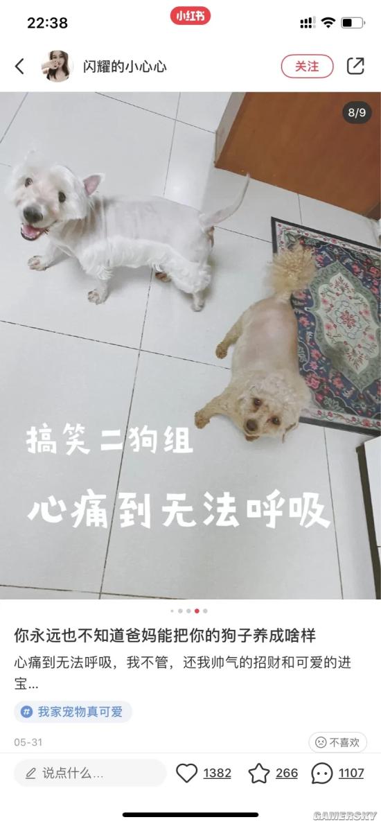 游民星空