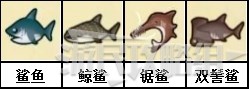 《动物森友会》鲨鱼岛出现时间及鲨鱼种类一览