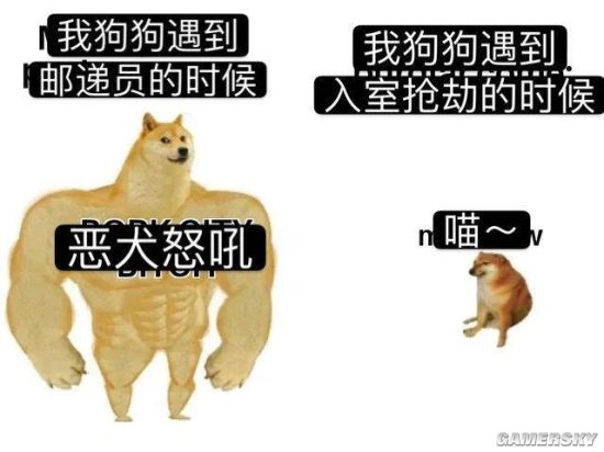 肌肉柴犬与小废柴梗图走红迷惑对比引网友疯传