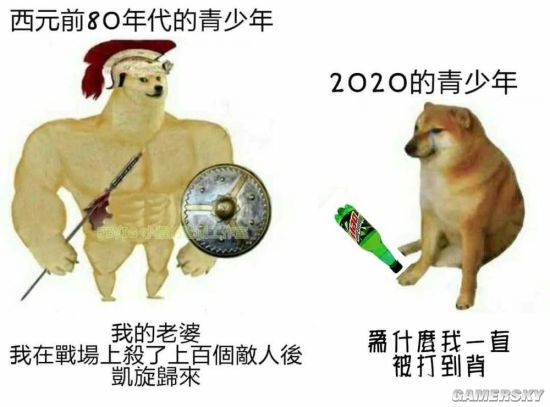 肌肉柴犬与小废柴梗图走红迷惑对比引网友疯传