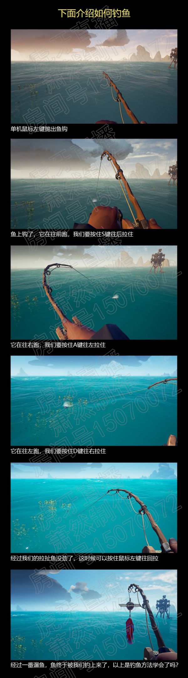 盗贼之海全鱼类图鉴图片