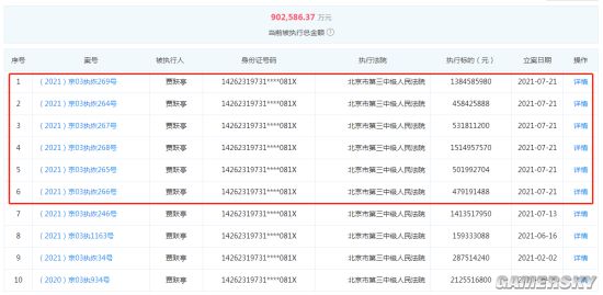 贾跃亭再被强制执行超40亿元 被执行总额已超90亿元