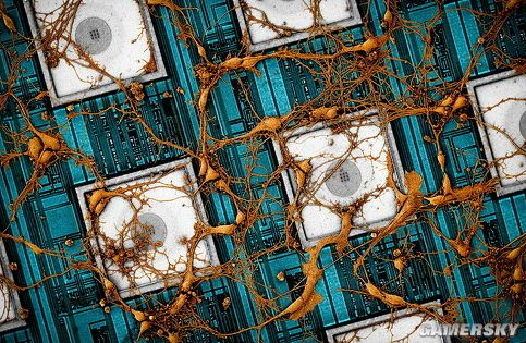 真·人工智能 三星研究把“人脑”复制到“芯片”技术