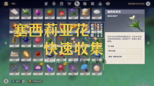 原神塞西莉亚花采集路线推荐