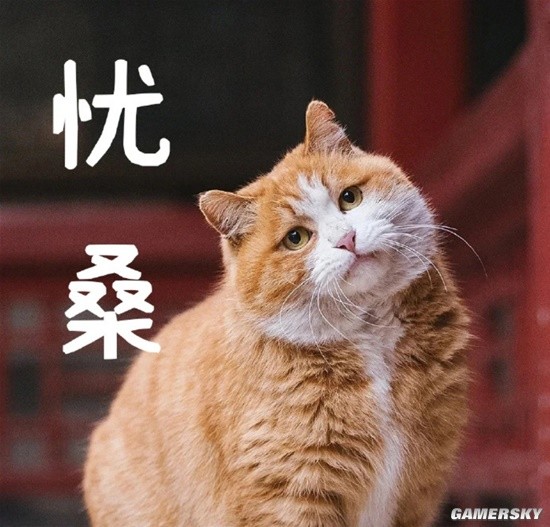 故宫猫表情包图片