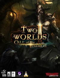 《两个世界2：黑暗召唤》中文智能安装版下载