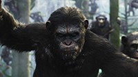《猩球崛起3》IGN评分9.5 各家媒体好评如潮