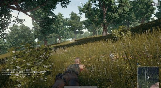 《绝地求生大逃杀》N卡画面优化与提高帧数方法 绝地求生大逃杀N卡怎么优化