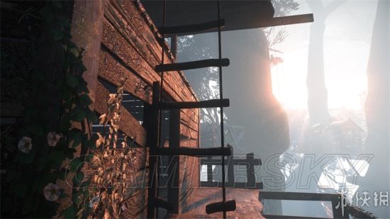 《难题超越山谷》全场景解谜流程图文攻略