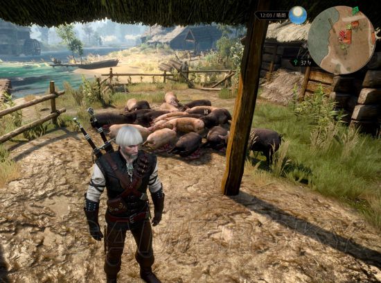 《巫师3》前期实用玩法技巧