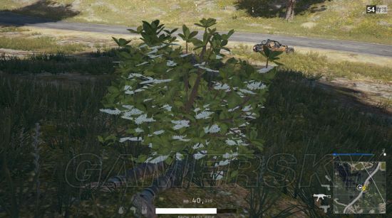 《绝地求生大逃杀》阴人、钓鱼位置及打法详解 怎么阴人