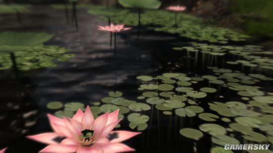 《上古卷轴5》女生向MOD合集第2弹 巫师3、恶魔城Shanoa等服装MOD