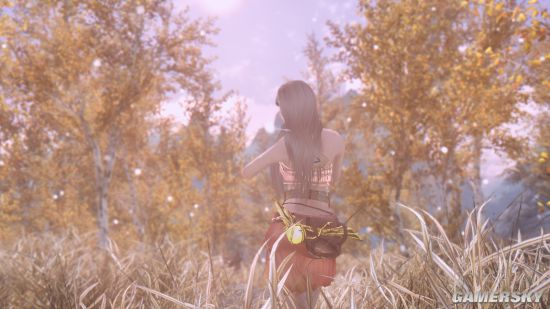 《上古卷轴5》女生向MOD合集第2弹 巫师3、恶魔城Shanoa等服装MOD