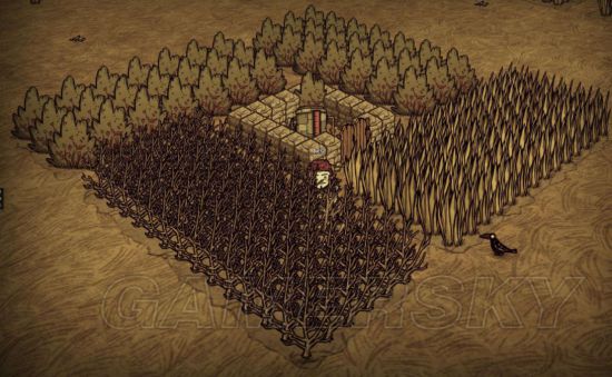 《饥荒》建家位置推荐及布局攻略 饥荒在哪建家好