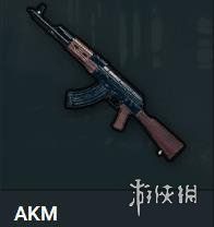 《绝地求生大逃杀》武器射击距离一览 什么枪打的远