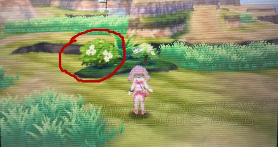 《口袋妖怪究极日月》快速升级方法 口袋妖怪究极日月怎么升级快