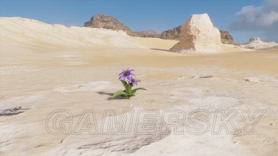 《刺客信条起源》沙漠幻觉与海市蜃楼汇总 沙漠中有哪些幻觉