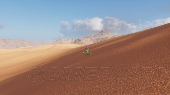 《刺客信条起源》沙漠幻觉与海市蜃楼汇总 沙漠中有哪些幻觉