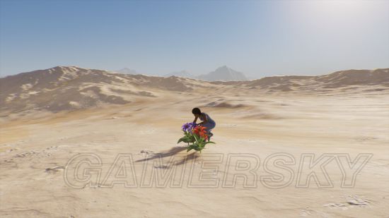 《刺客信条起源》沙漠幻觉与海市蜃楼汇总 沙漠中有哪些幻觉