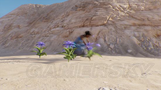 《刺客信条起源》沙漠幻觉与海市蜃楼汇总 沙漠中有哪些幻觉