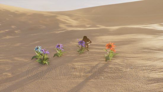 《刺客信条起源》沙漠幻觉与海市蜃楼汇总 沙漠中有哪些幻觉