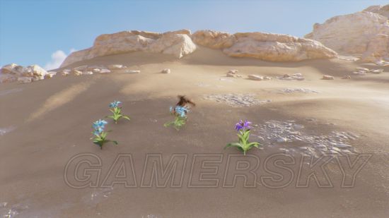 《刺客信条起源》沙漠幻觉与海市蜃楼汇总 沙漠中有哪些幻觉