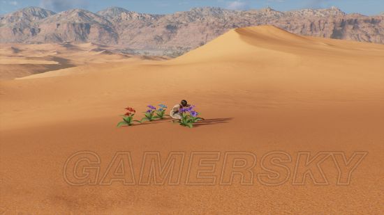 《刺客信条起源》沙漠幻觉与海市蜃楼汇总 沙漠中有哪些幻觉