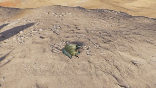 《刺客信条起源》沙漠幻觉与海市蜃楼汇总 沙漠中有哪些幻觉