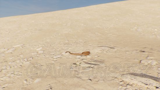 《刺客信条起源》沙漠幻觉与海市蜃楼汇总 沙漠中有哪些幻觉