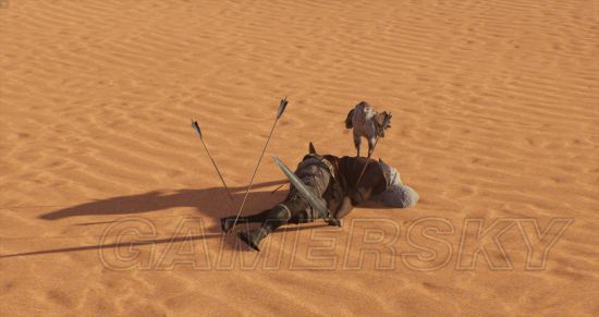 《刺客信条起源》沙漠幻觉与海市蜃楼汇总 沙漠中有哪些幻觉