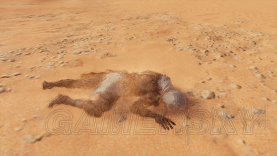 《刺客信条起源》沙漠幻觉与海市蜃楼汇总 沙漠中有哪些幻觉