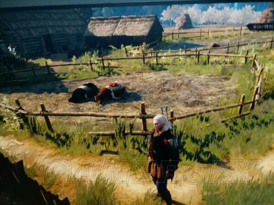 《巫师3》低级刷牛地点推荐 巫师3在哪刷牛