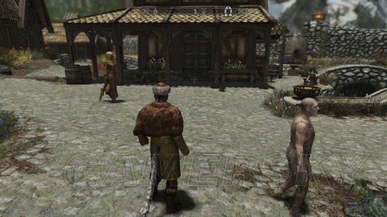 《上古卷轴5》特别版与传奇版区别详述 特别版与传奇版有什么区别