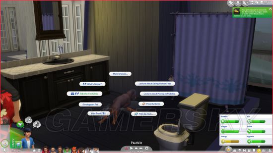 《模拟人生4》猫与狗DLC宠物领养及照顾方法介绍