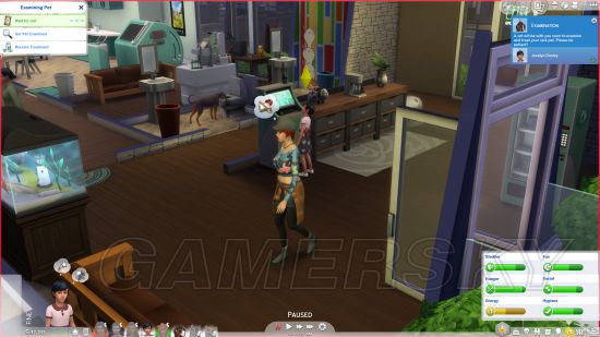 《模拟人生4》猫与狗DLC宠物领养及照顾方法介绍