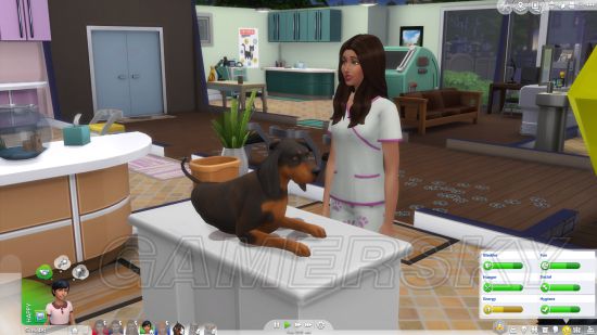 《模拟人生4》猫与狗DLC宠物领养及照顾方法介绍