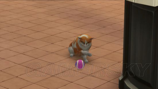 《模拟人生4》猫与狗DLC宠物领养及照顾方法介绍