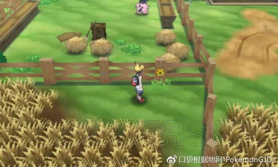 《口袋妖怪究极日月》全霸主贴纸收集攻略 霸主贴纸在哪