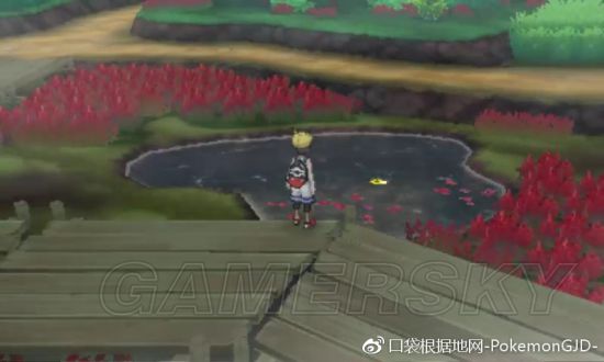 《口袋妖怪究极日月》全霸主贴纸收集攻略 霸主贴纸在哪