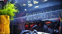 大神打造水族箱PC主机 机箱“泡水”还能养鱼