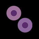 《怪物猎人世界》名词、道具及异常状态解析