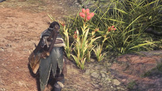 《怪物猎人世界》猎人狩猎实用心得