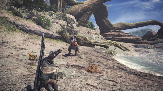 《怪物猎人世界》猎人狩猎实用心得