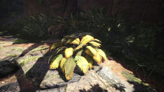 《怪物猎人世界》猎人狩猎实用心得